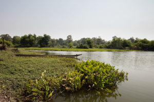 Khao Yai National Park