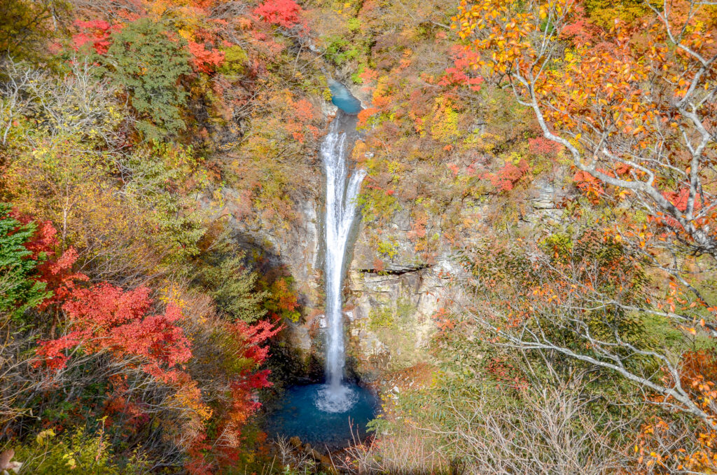 Nasu