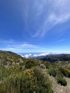 Madeira