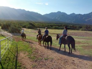 horseback riding