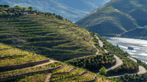 River Douro