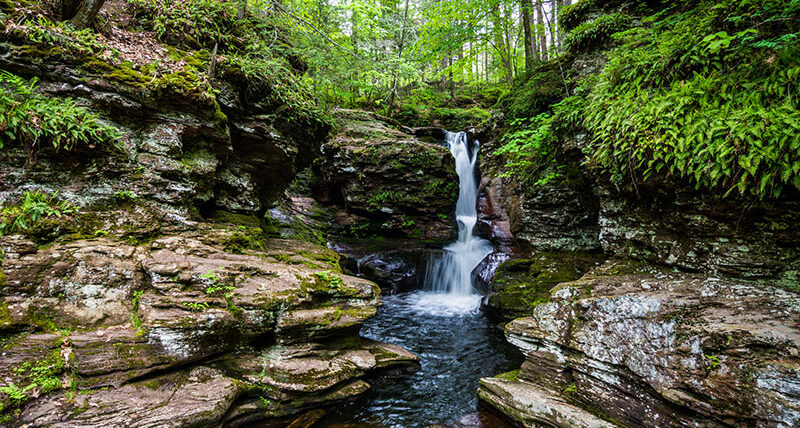 Ricketts Glen State Park