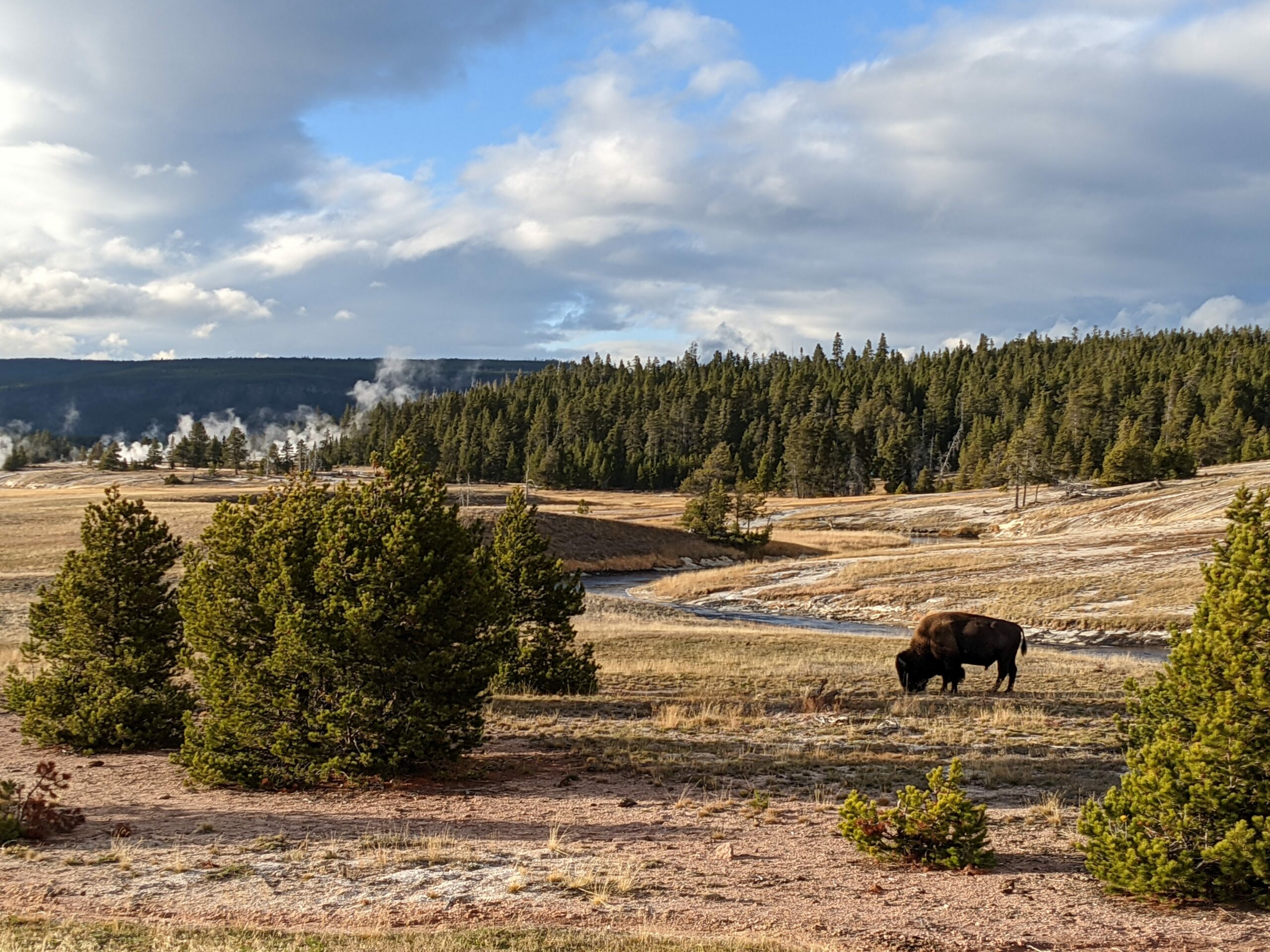 Old Faithful, What a Magical Week! - Global Traveler