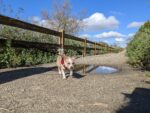 Dominguez Gap Wetlands.