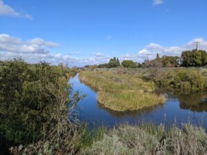 Dominguez Gap Wetlands.