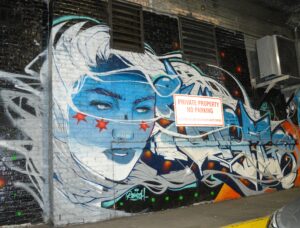 Chicago Mural Walk