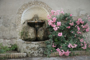 Rome’s rose garden on Aventine Hill