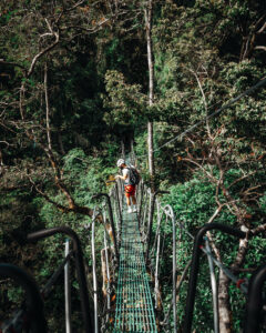 hanging bridge