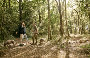 truffle hunting