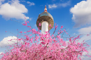 N Seoul Tower