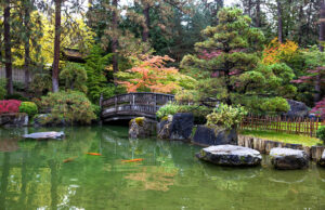 Manito Park features more than 100 acres of gardens, including Nishinomiya Tsutakawa Japanese Garden, a place of tranquility with ponds, a waterfall and vibrant trees and flowers.