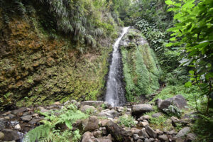 Dark View Falls