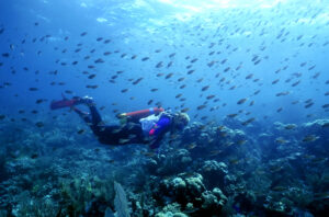 Scuba diving in Saint Vincent and the Grenadines