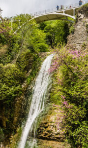 The National Botanical Garden of Georgia