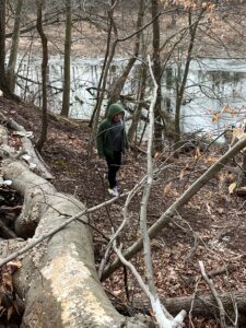 Tyler State Park