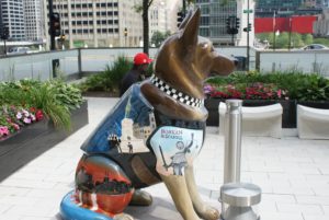 Chicago K9s