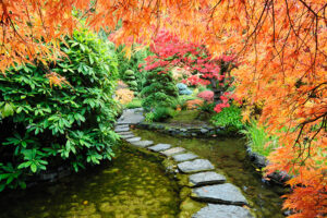 Butchart Gardens